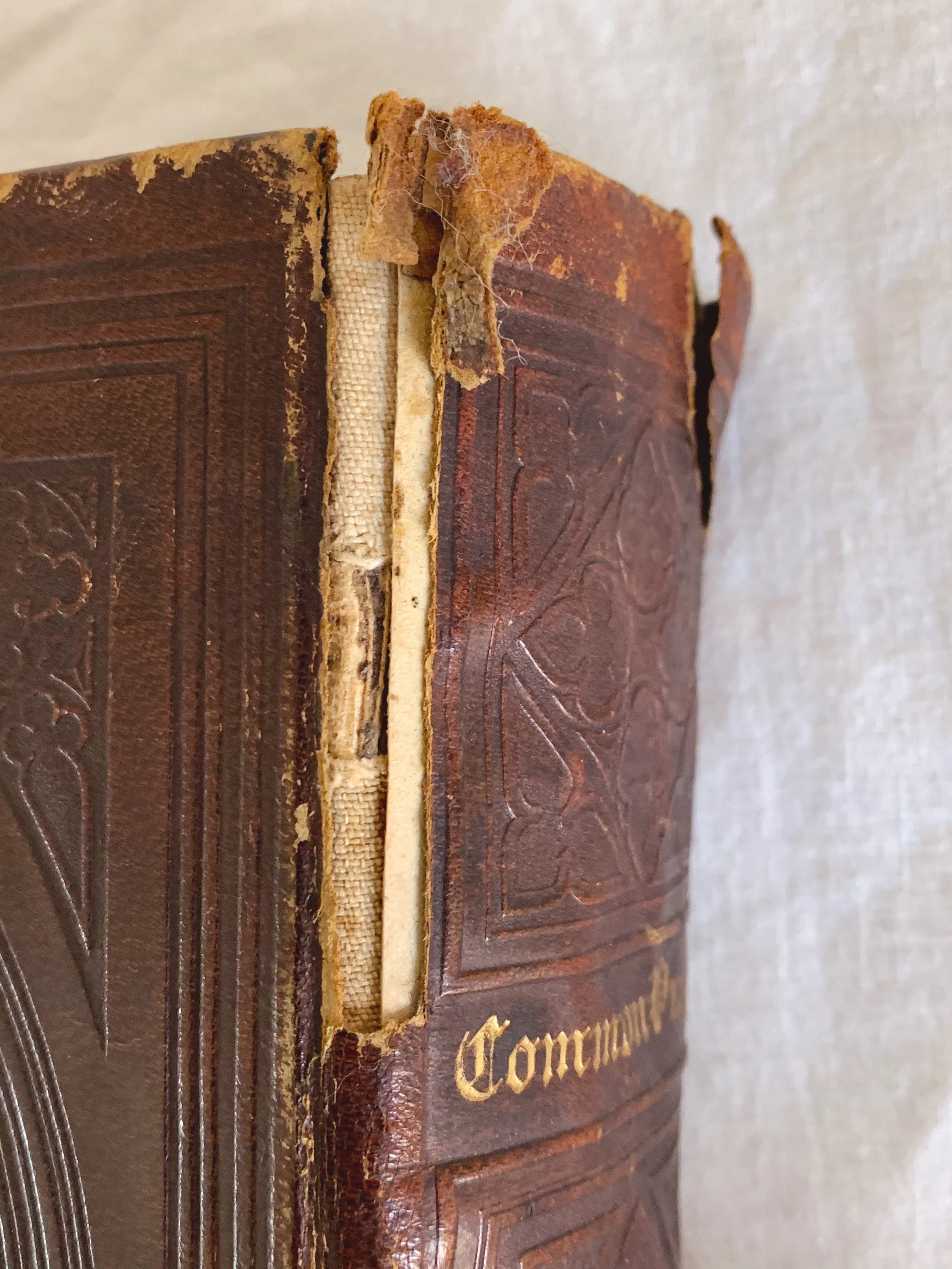 Antique "The Illustrated Book Of Common Prayer" Printed in 1843 Published by New York: H.W. Hewet with Leather Bound Cover - Image 10