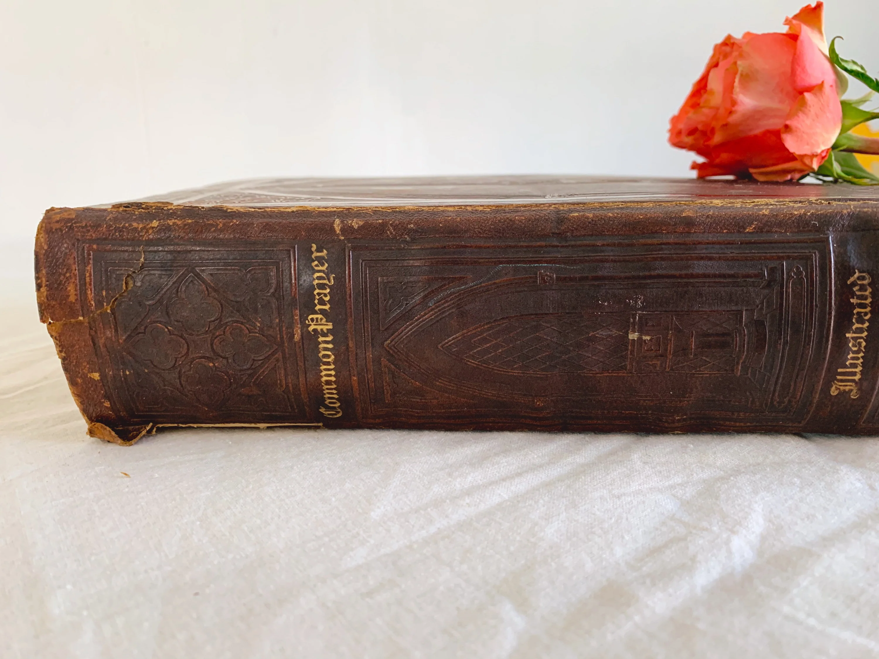Antique "The Illustrated Book Of Common Prayer" Printed in 1843 Published by New York: H.W. Hewet with Leather Bound Cover - Image 4